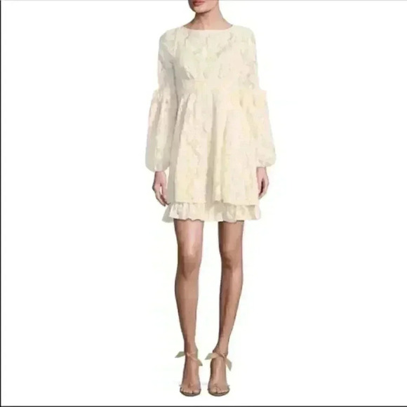 Free People Rubi Lace Mini Dress - Picture 3 of 3